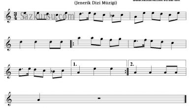 bin-bir-gece-keman | Notalarim.com