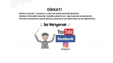 Photo of Undertale Megalovania Notaları