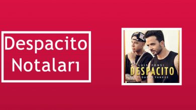decpasito | Notalarim.com
