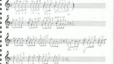 ey-sahin-bakislim-notalari | Notalarim.com