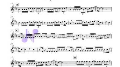 despacito-1 | Notalarim.com