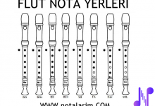 flut-nota-yerleri | Notalarim.com