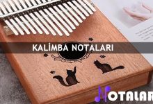 kalimba-notalari | Notalarim.com