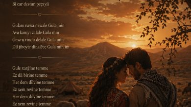 gulamin-notalari | Notalarim.com