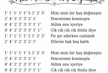 mini-mini-bir-kus-dogmustu-notalari | Notalarim.com