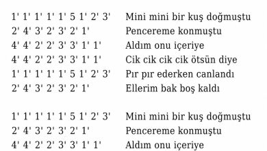 mini-mini-bir-kus-dogmustu-notalari | Notalarim.com